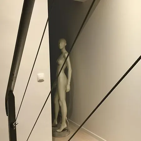 5&5 Rooftop Frühstückspension