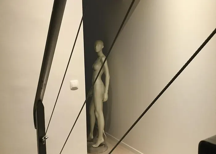 5&5 Rooftop Frühstückspension